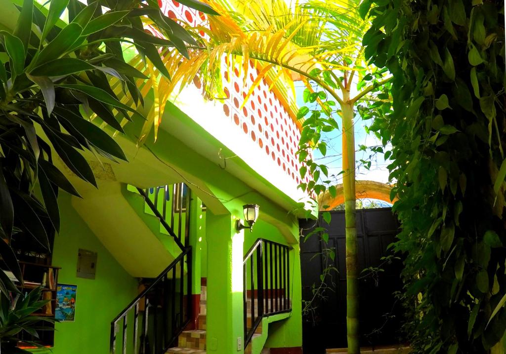 圣佩德罗拉拉古纳Hospedaje Lolita的一座绿色建筑,旁边是棕榈树