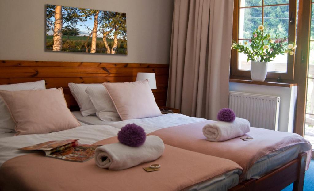 斯托尼拉斯奇Hotel Górski Czarna Góra的酒店客房,配有两张带毛巾的床