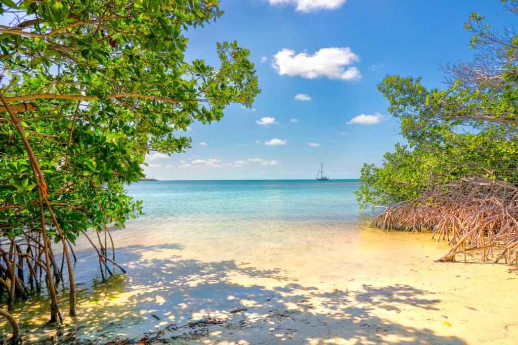 雷顿Fiesta Key RV Resort Premium Room 3的一片树木繁茂的海滩,一片大海