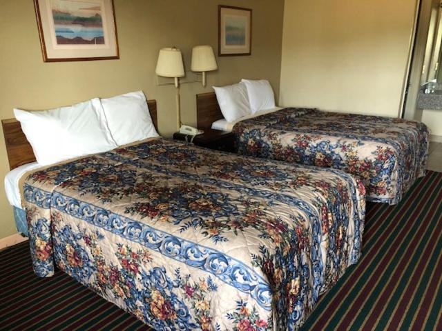 佛罗伦萨树顶旅馆的一间酒店客房,房间内设有两张床