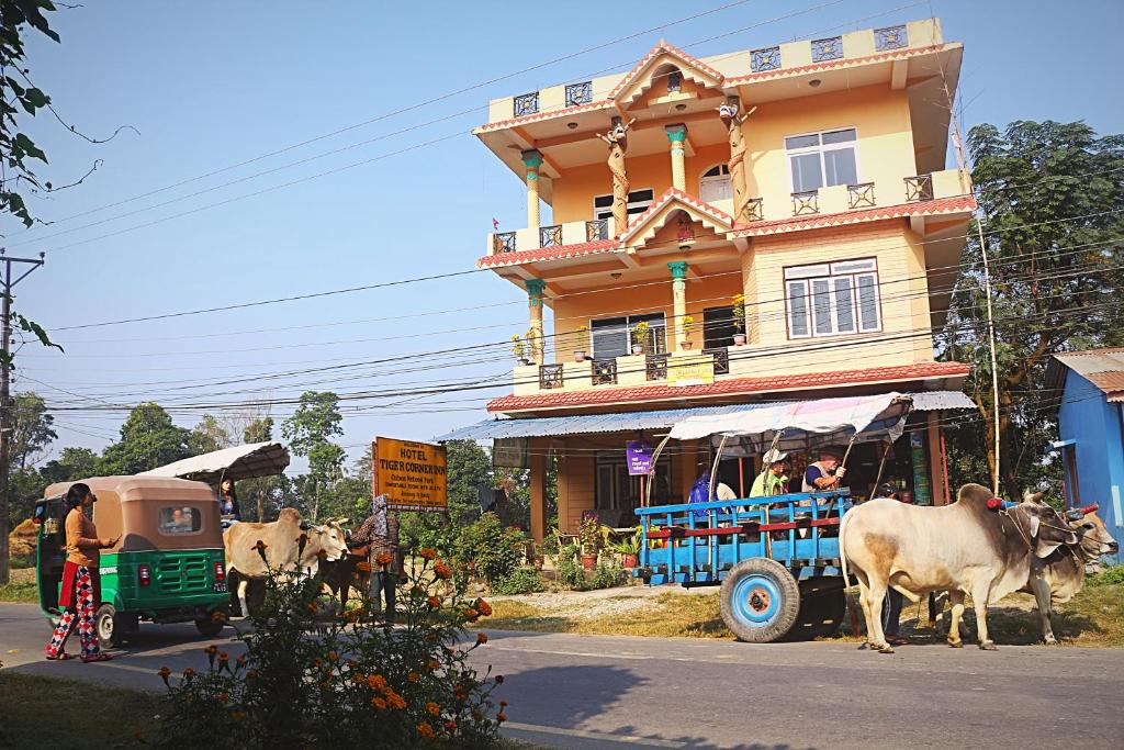 索拉哈Tiger Corner Inn Homestay的一只牛在建筑物前拉车