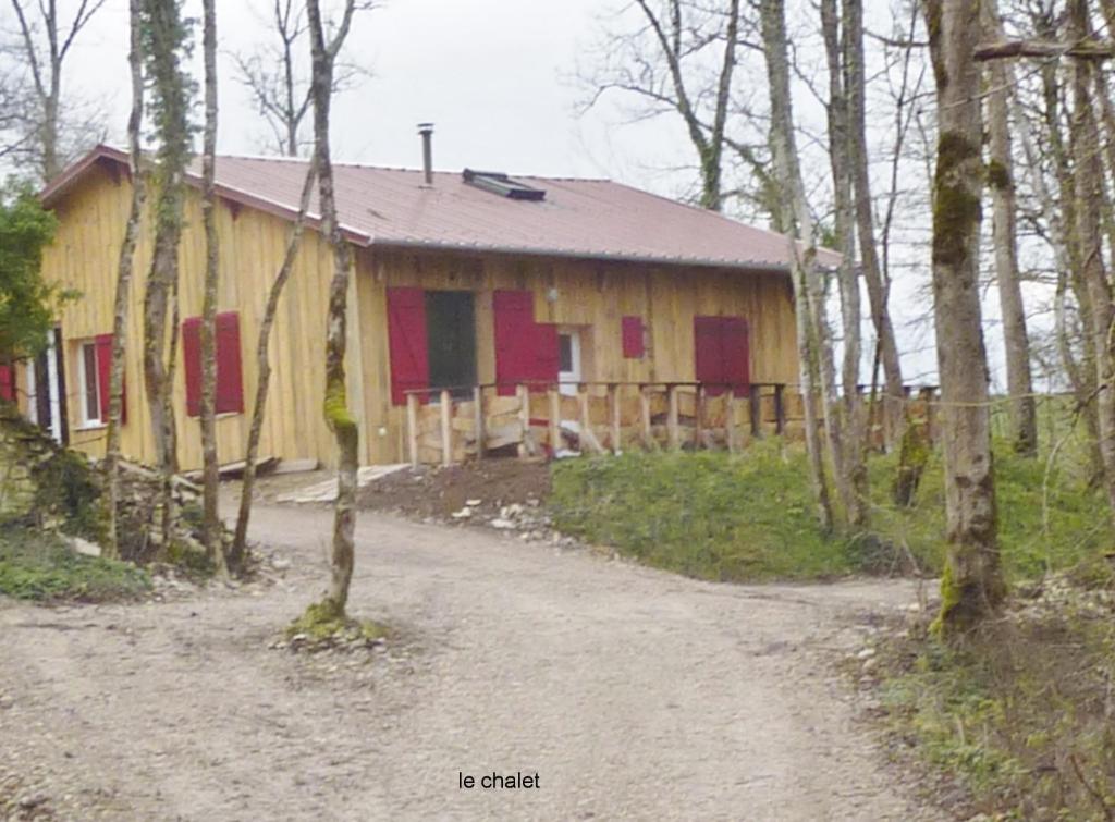 Joux-la-Villedomaine de Couchenoire的树林里的房子,前面有一条土路