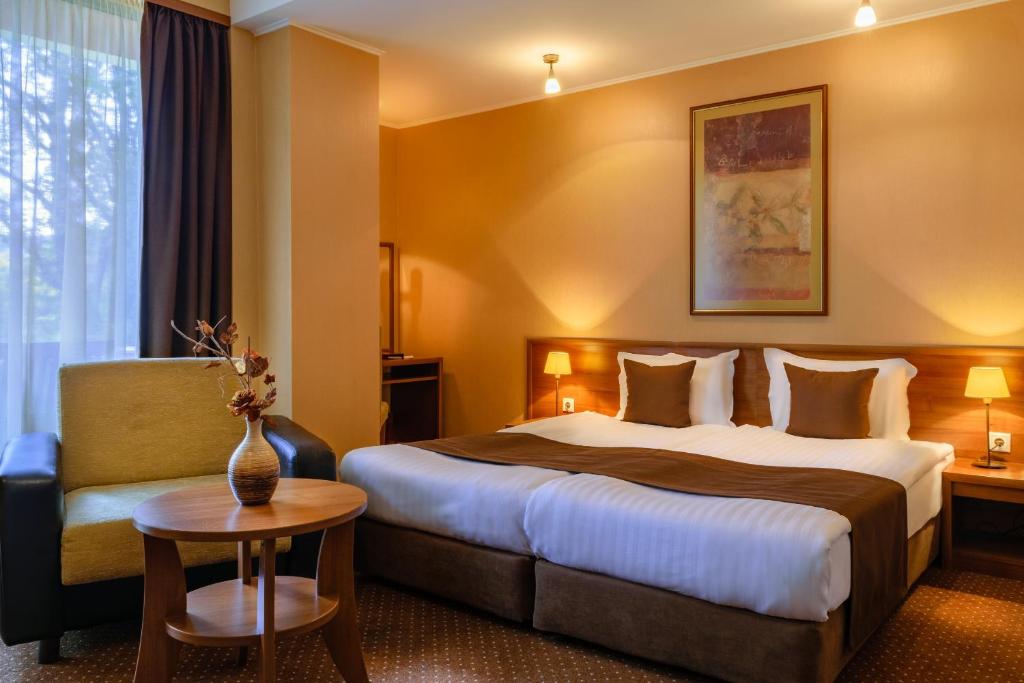 斯塔佐扎格斯基巴尼卡莉斯塔水疗酒店的酒店客房设有一张大床和一张桌子。