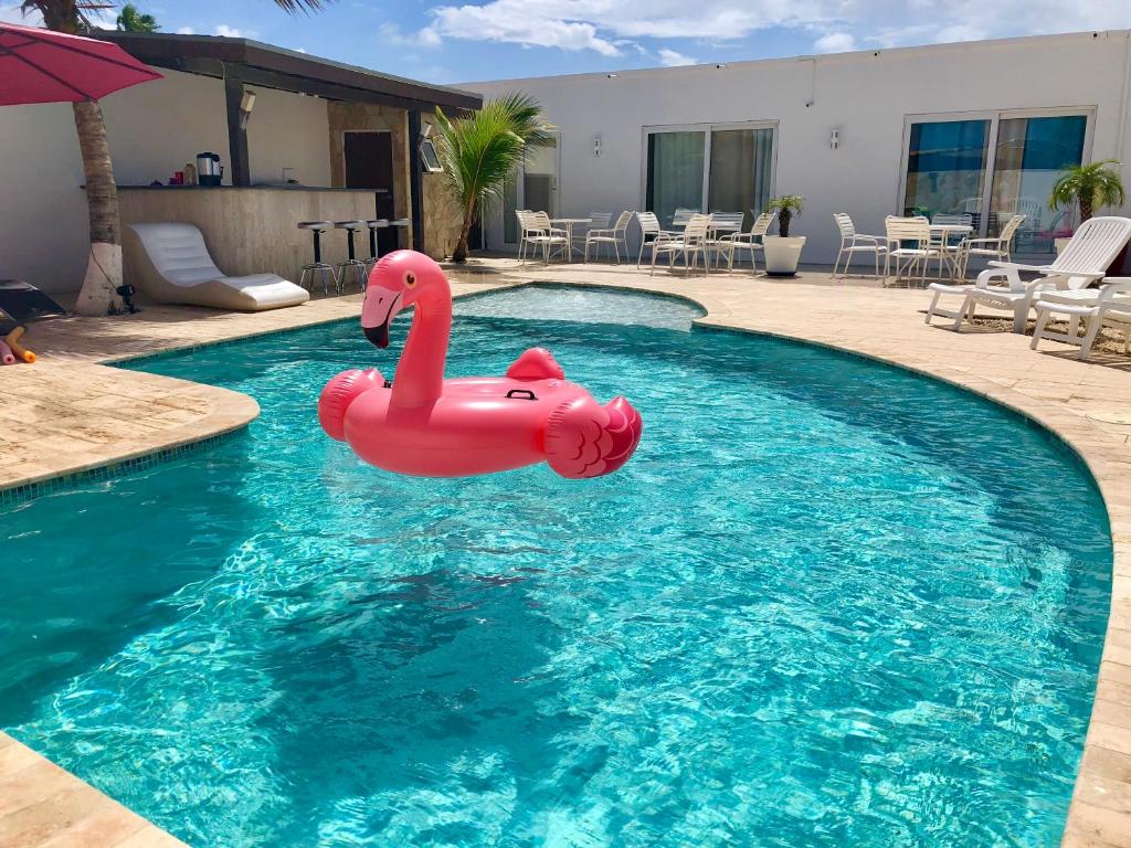 棕榈滩创世纪公寓的游泳池里的粉红色充气天鹅