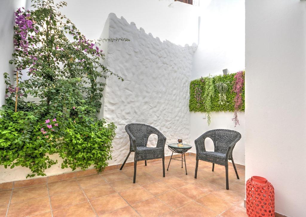 法鲁Terrace Barqueta Studio的植物庭院里的两把椅子和一张桌子
