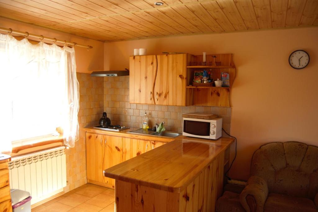 波拉齐克U Jędrusia的厨房配有木制橱柜和台面上的微波炉