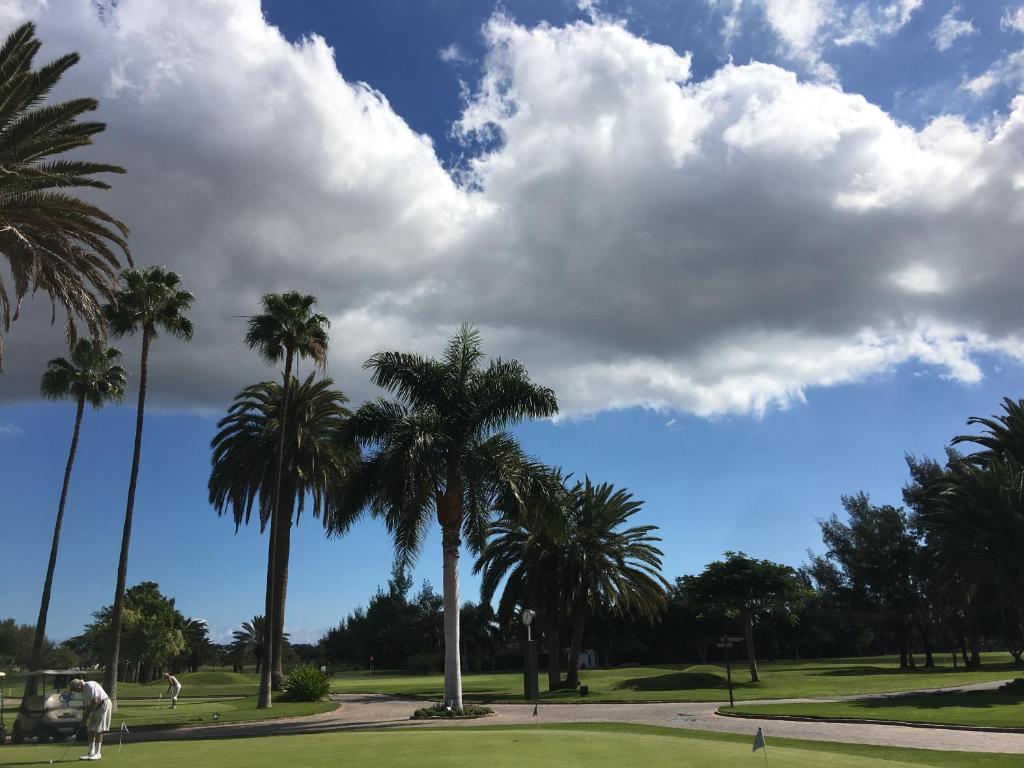 梅罗那瑞斯Meloneras ideal的高尔夫球场上的一组棕榈树