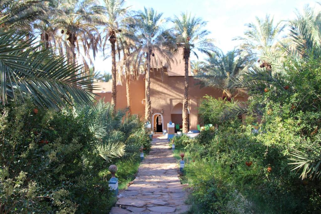 扎古拉Riad Tagmadarte Ferme d'Hôte的一条通往棕榈树房屋的路径