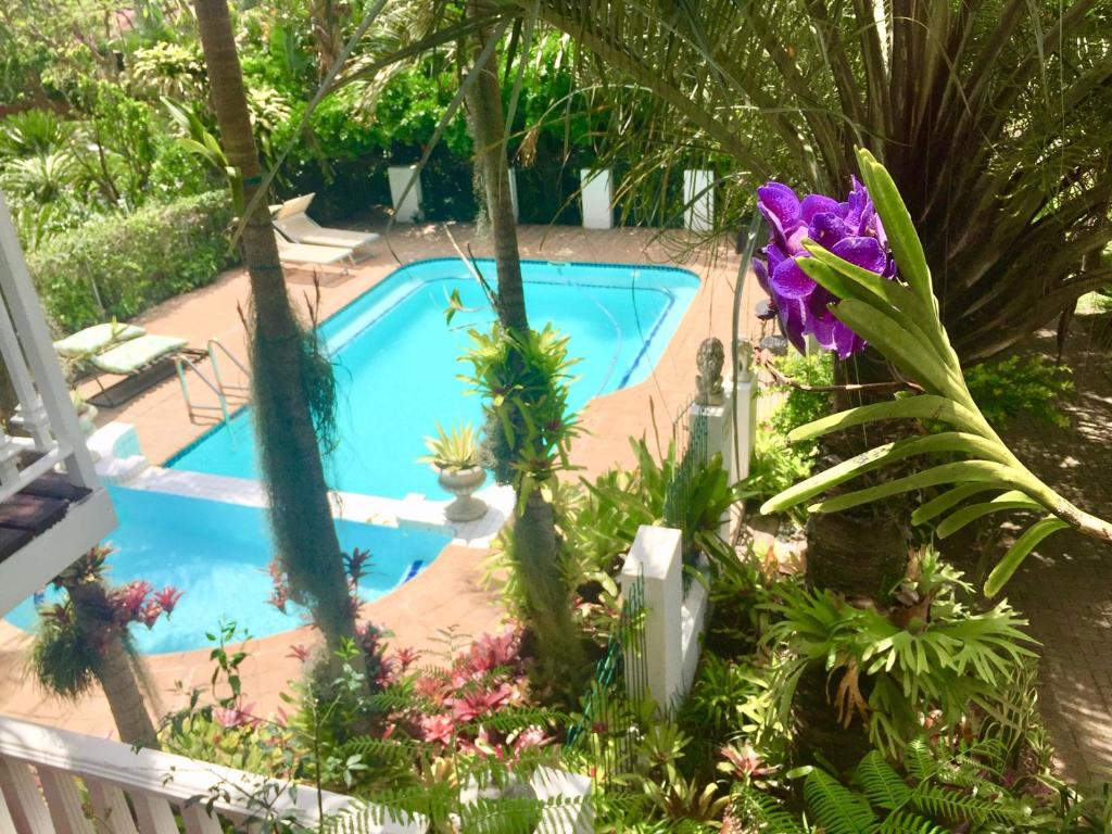 圣卢西亚圣露西亚湿地宾馆的花园中种有鲜花和植物的游泳池