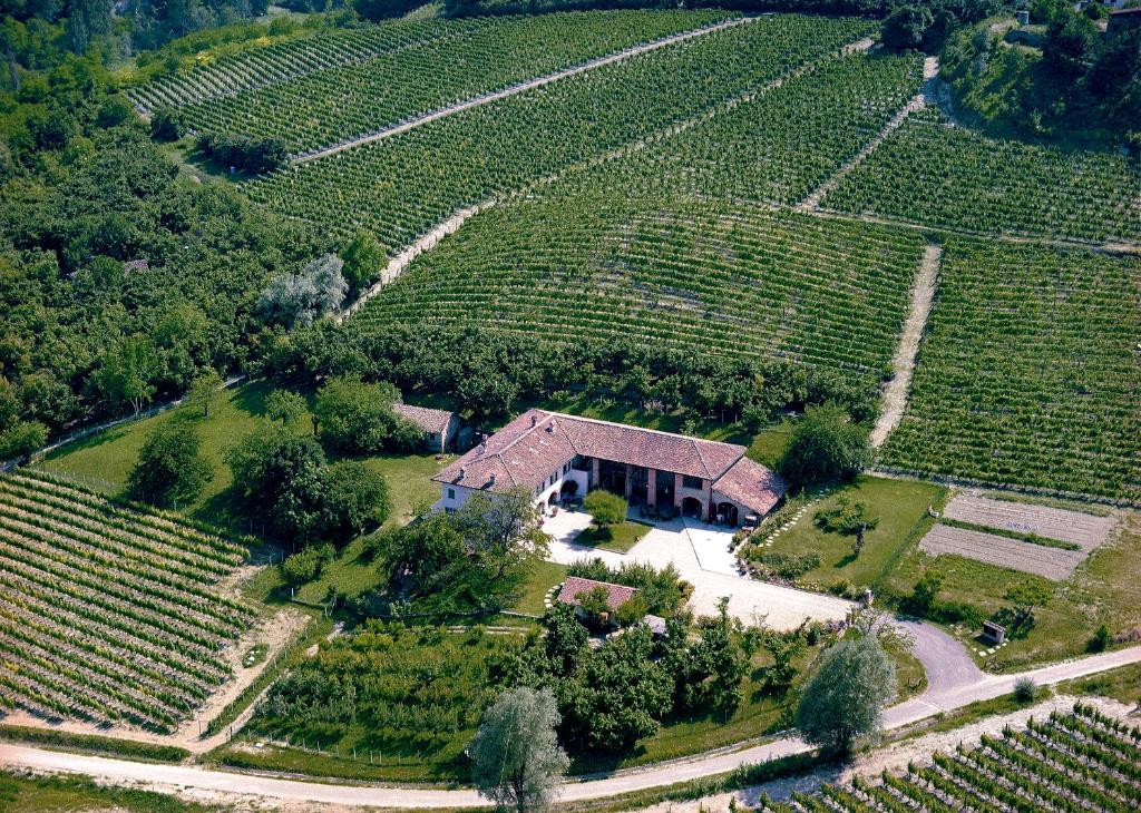 卡拉曼德拉纳La Giribaldina Winery & Farmhouse的葡萄园中间房子的空中景观