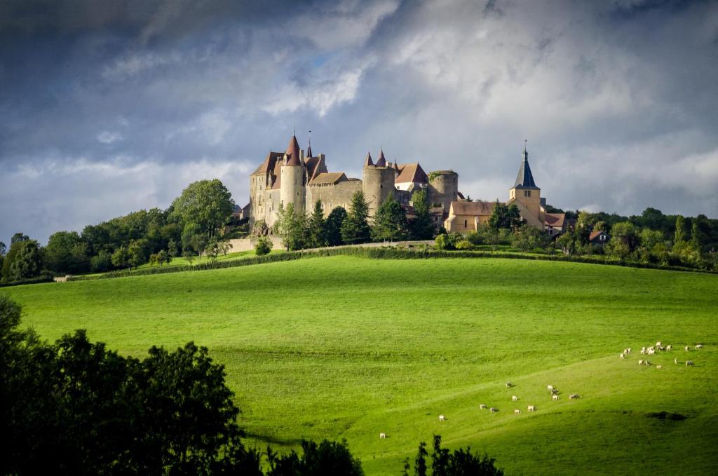 沙托纳Le Domaine des Prés Verts Suites & Chambres avec Jacuzzi Privatif à Châteauneuf的一座城堡,位于一片带羊的绿色田野上
