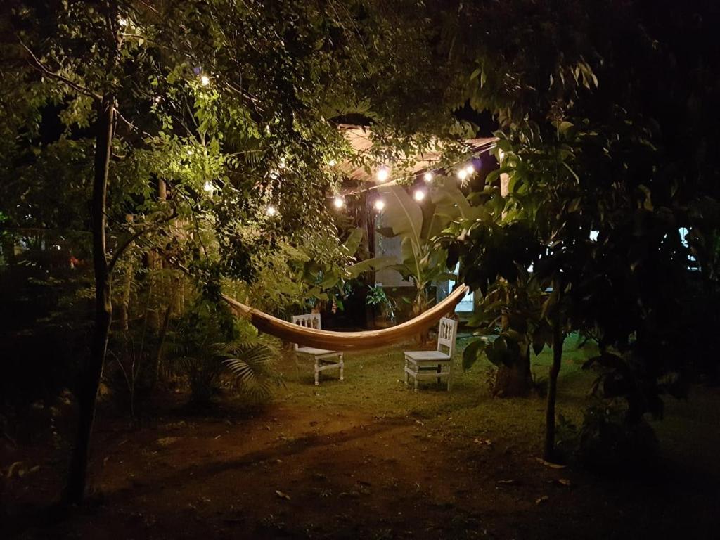 圣法兰西斯克Casa Bamboo San Pancho的花园中间的吊床(晚上)