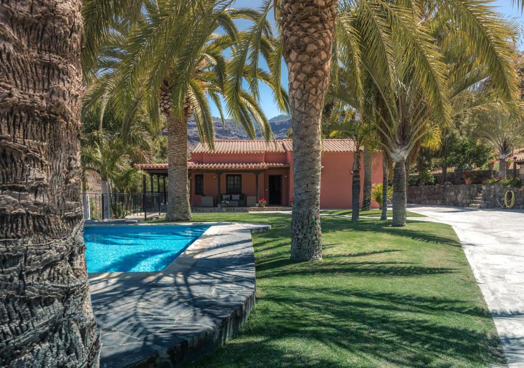 莫甘Finca Horno de la Teja的棕榈树和游泳池的房子