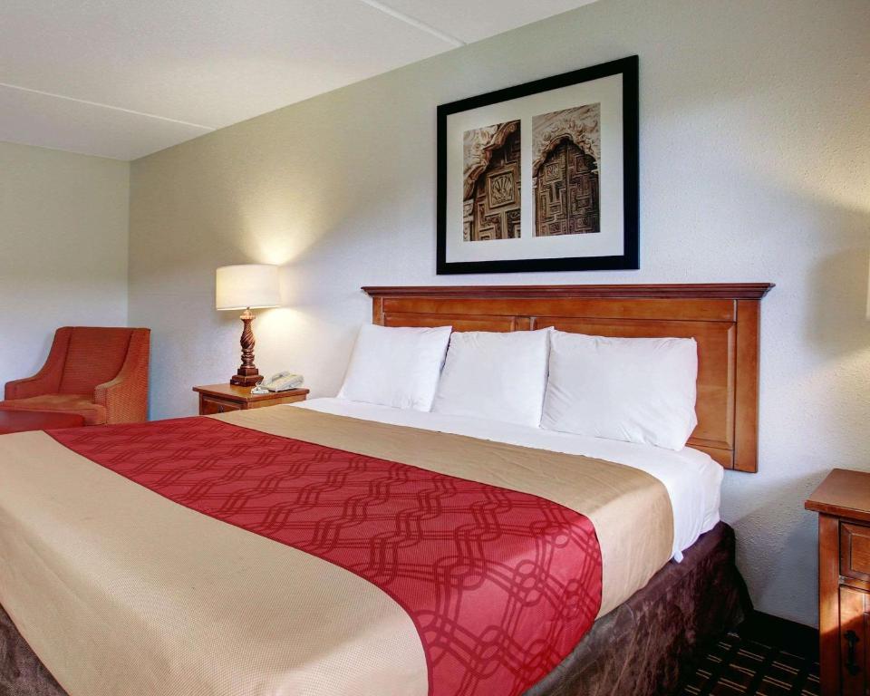 新布朗费尔斯新布劳恩费尔斯罗德威旅馆的酒店客房带一张大床和一把椅子