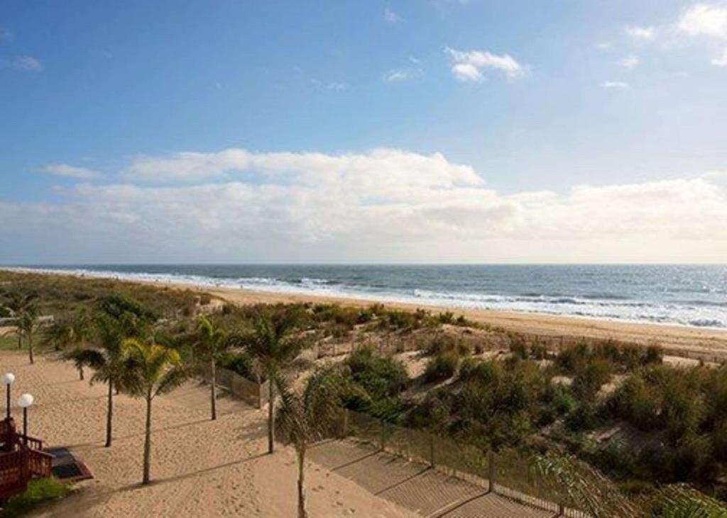 大洋城海滨品质酒店的棕榈树和海洋的沙滩