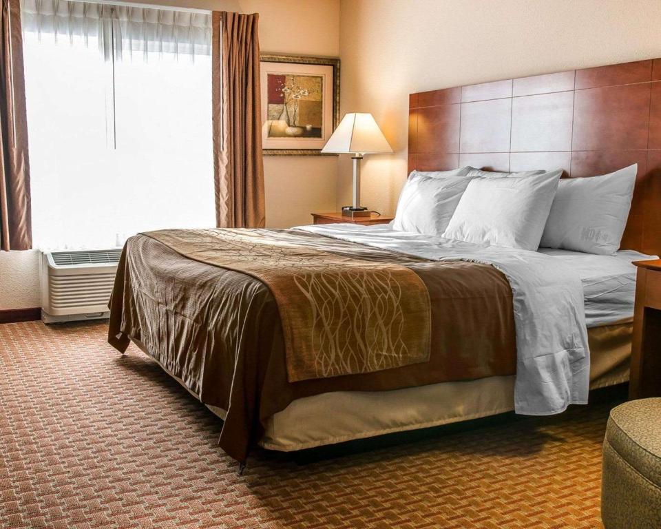 新布法罗Quality Inn Near Interstate I94的酒店客房设有一张大床和大窗户