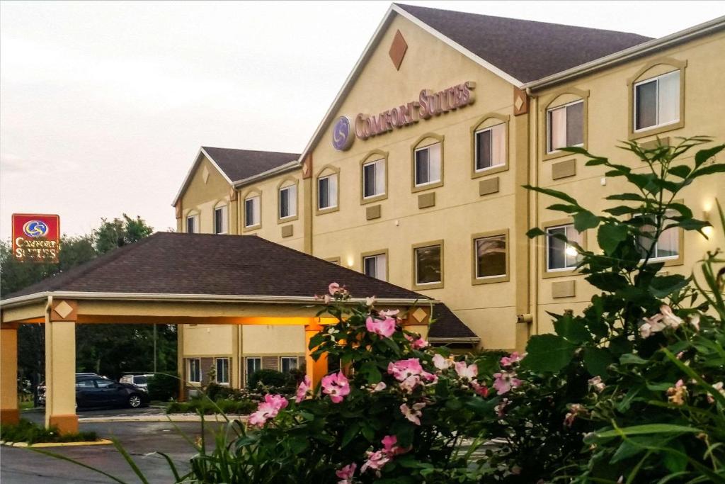 奥马哈奥马哈康福特套房酒店的前面有粉红色花卉的酒店