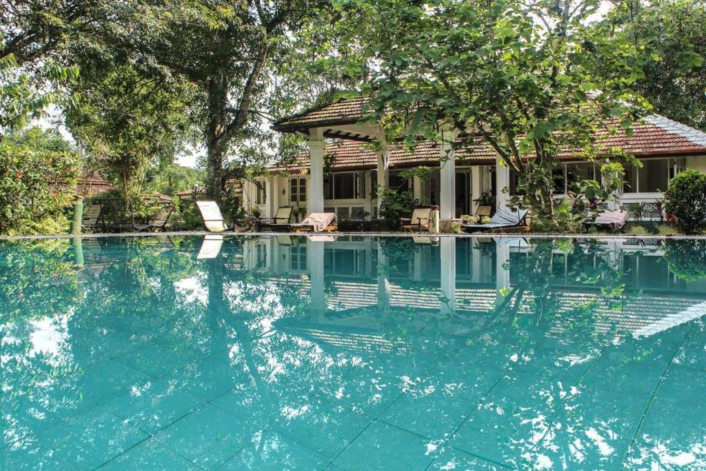 卡卢特勒Plantation Villa的一个带椅子的游泳池以及一座房子