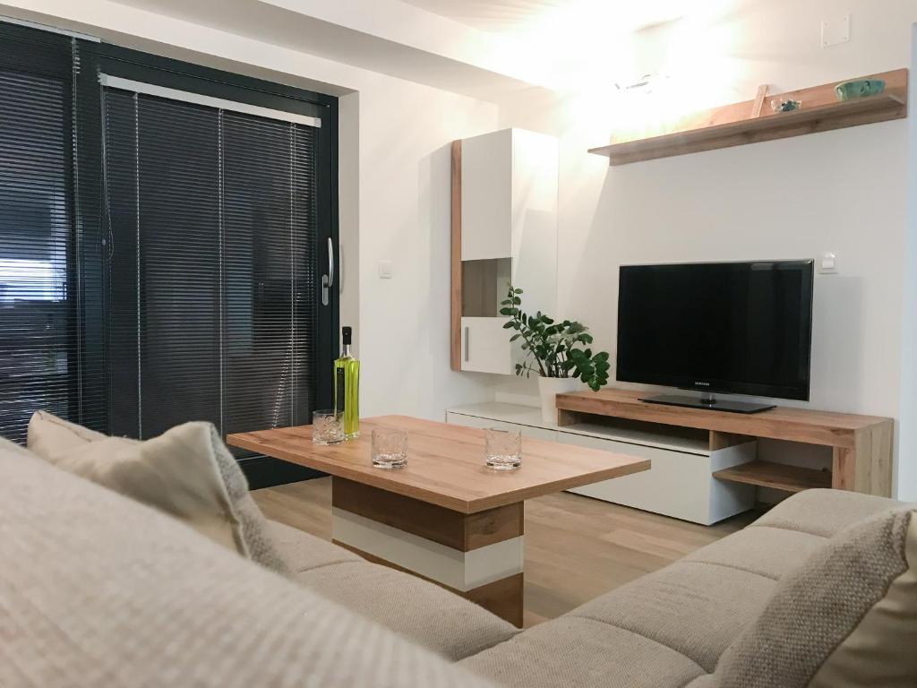 佐尔尼耶戈迪Apartment Tosca near Vintgar and Lake Bled的带沙发和电视的客厅