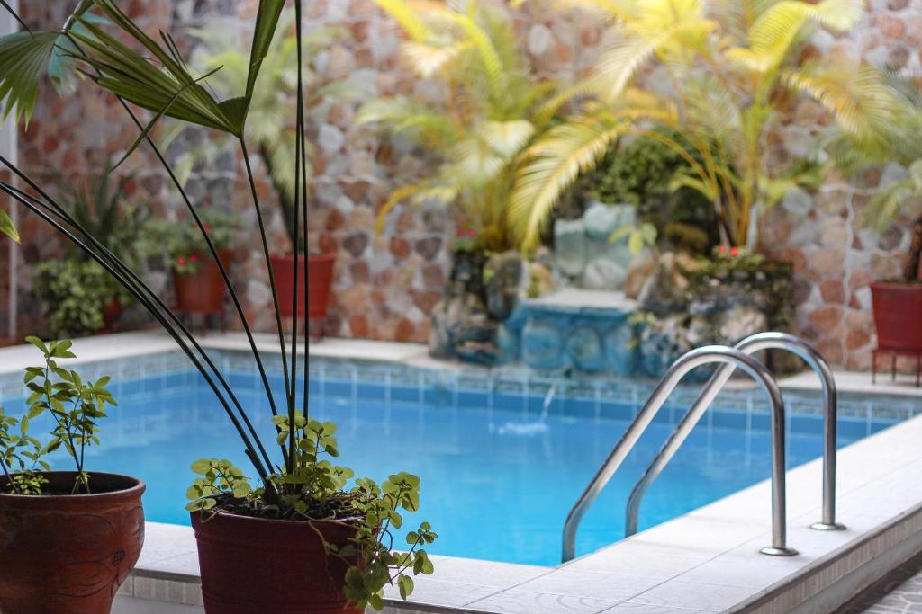 莫约班巴Hotel Rio Mayo的旁边是种有盆栽植物的游泳池