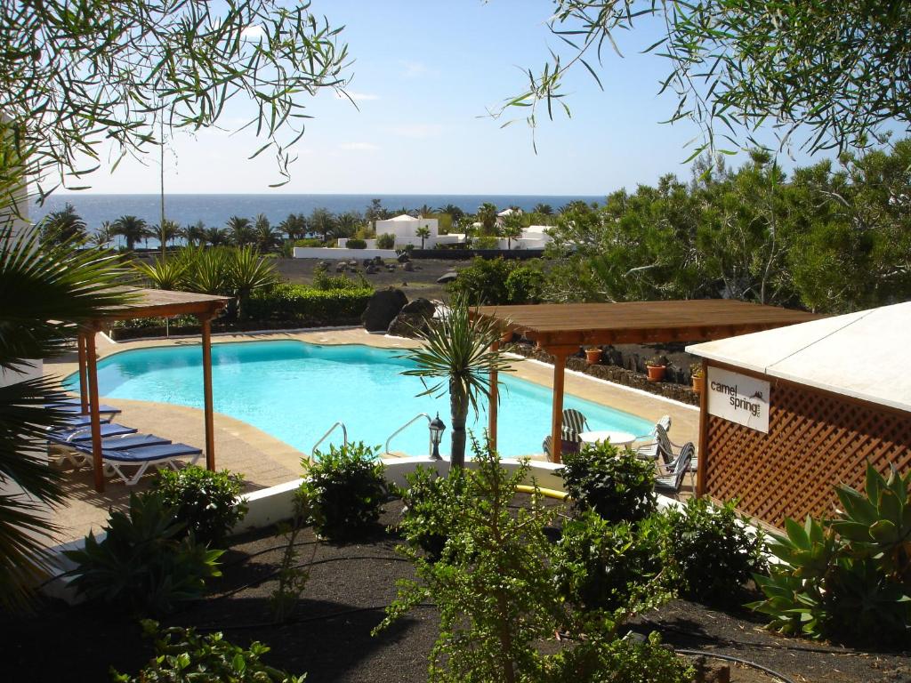 科斯塔特吉塞骆驼温泉俱乐部酒店的海景游泳池