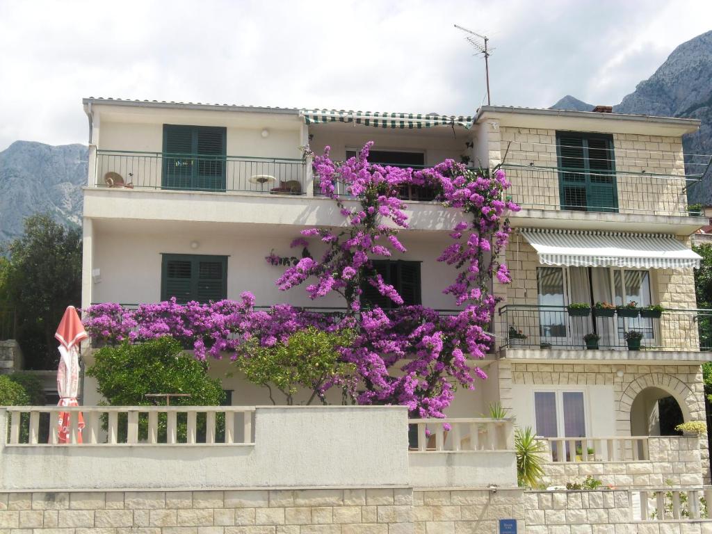 马卡尔斯卡卢斯别墅公寓的一座在前面布满紫色花的建筑