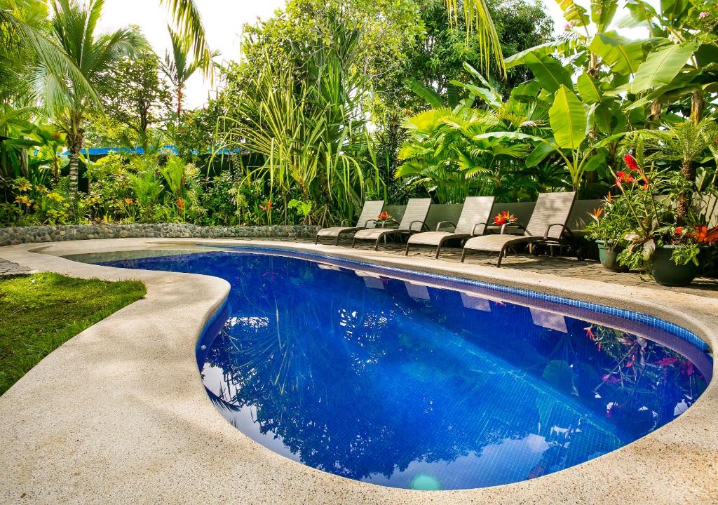 曼努埃尔安东尼奥Villas Oasis的庭院内的游泳池,带椅子和树木