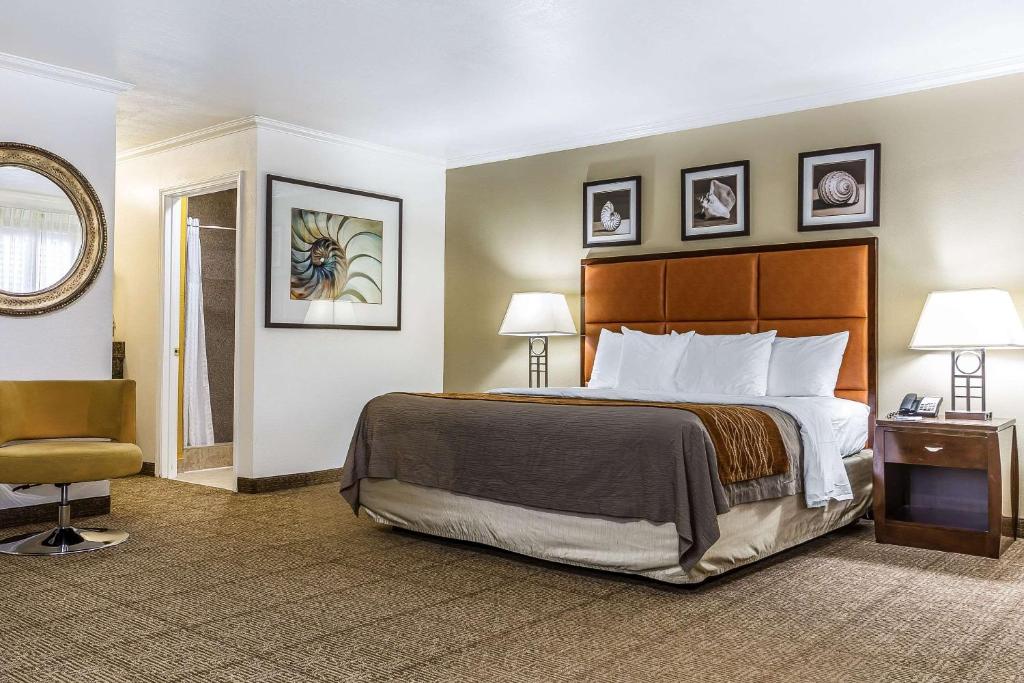 圣克鲁兹圣克鲁斯康福特茵酒店的配有一张床和一把椅子的酒店客房