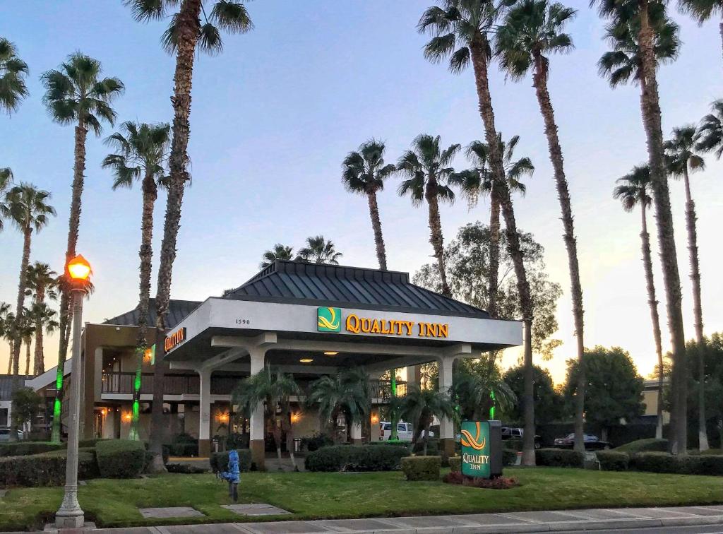 里弗赛德加州大学河滨分校和市区附近河滨品质酒店的棕榈树的卡里弗尼亚旅馆的景色
