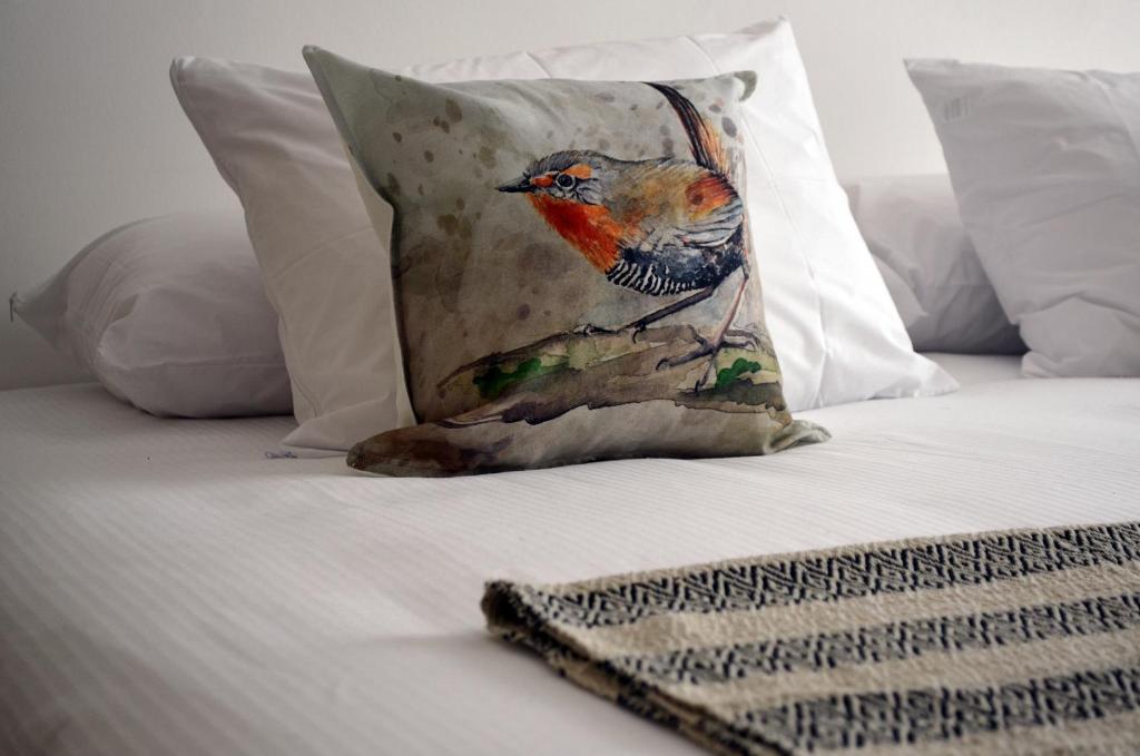 瓦尔迪维亚Hotel Nueve Ríos的鸟儿坐在床上,上面有枕头
