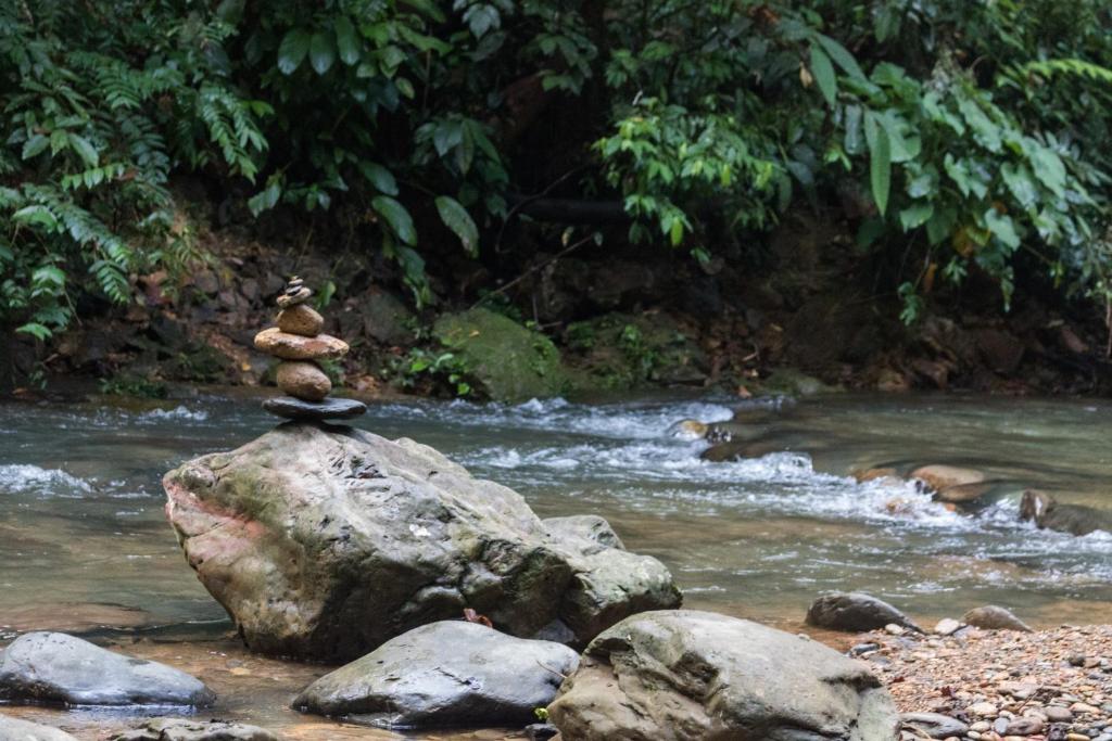 武吉拉旺雨林酒店的河中岩石上的一堆岩石