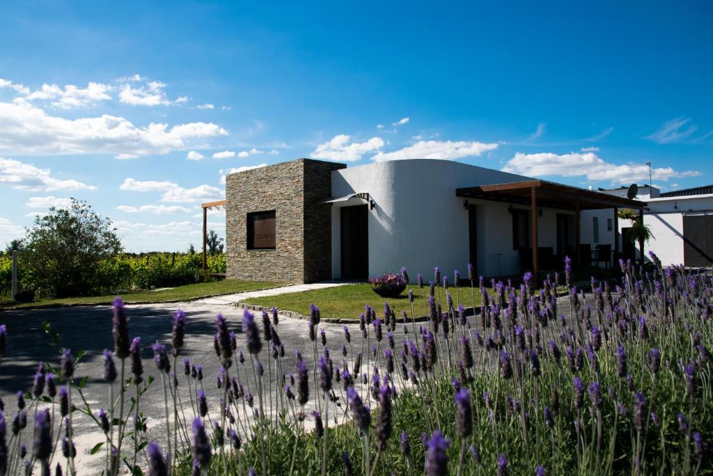 ProgresoPizzorno Lodge & Wine的前面有紫色花的房屋