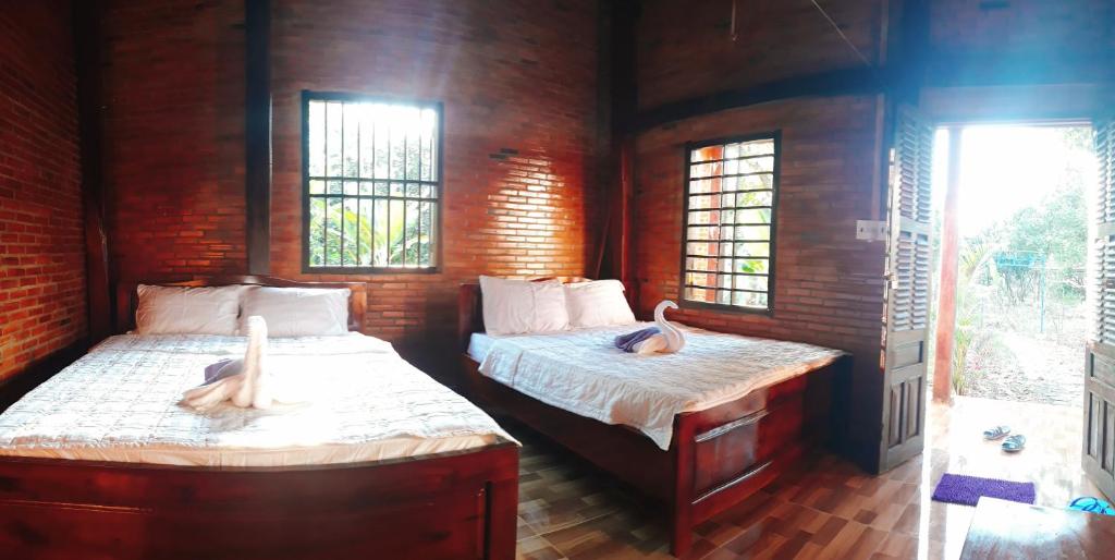 Quan TomCat Tien Farmer Lodge的带两张床和两个窗户的房间