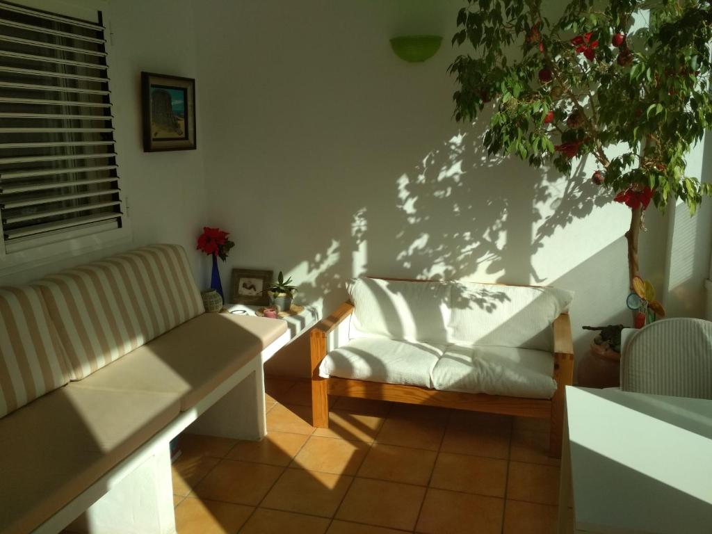 科蒂略Casa Piedra Playa的客厅配有两把椅子和植物
