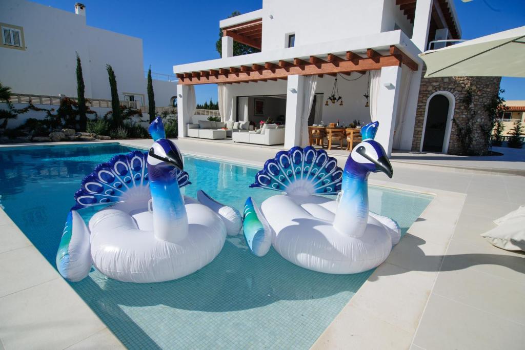 圣何塞德萨塔莱阿Sa plana de Baix的两天鹅在房子旁边的游泳池里