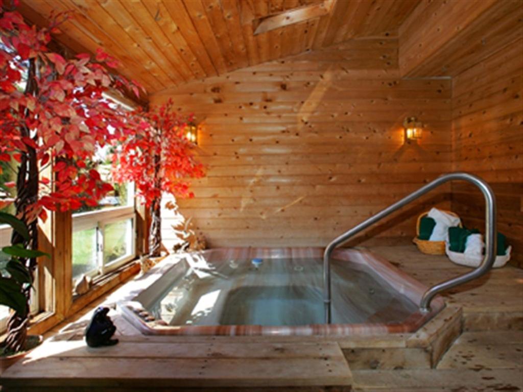 Nottawa美丽河谷江山旅馆的木制房间内的带热水浴缸的桑拿浴室