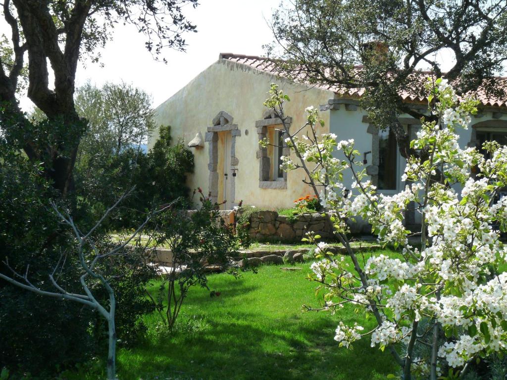BerchiddedduLa Scala Guesthouse的院子里白色花的房子