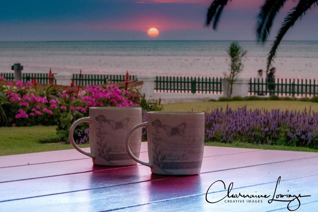 MeersigFlamingo Cottage no 12的两个咖啡杯坐在海滩附近的桌子上