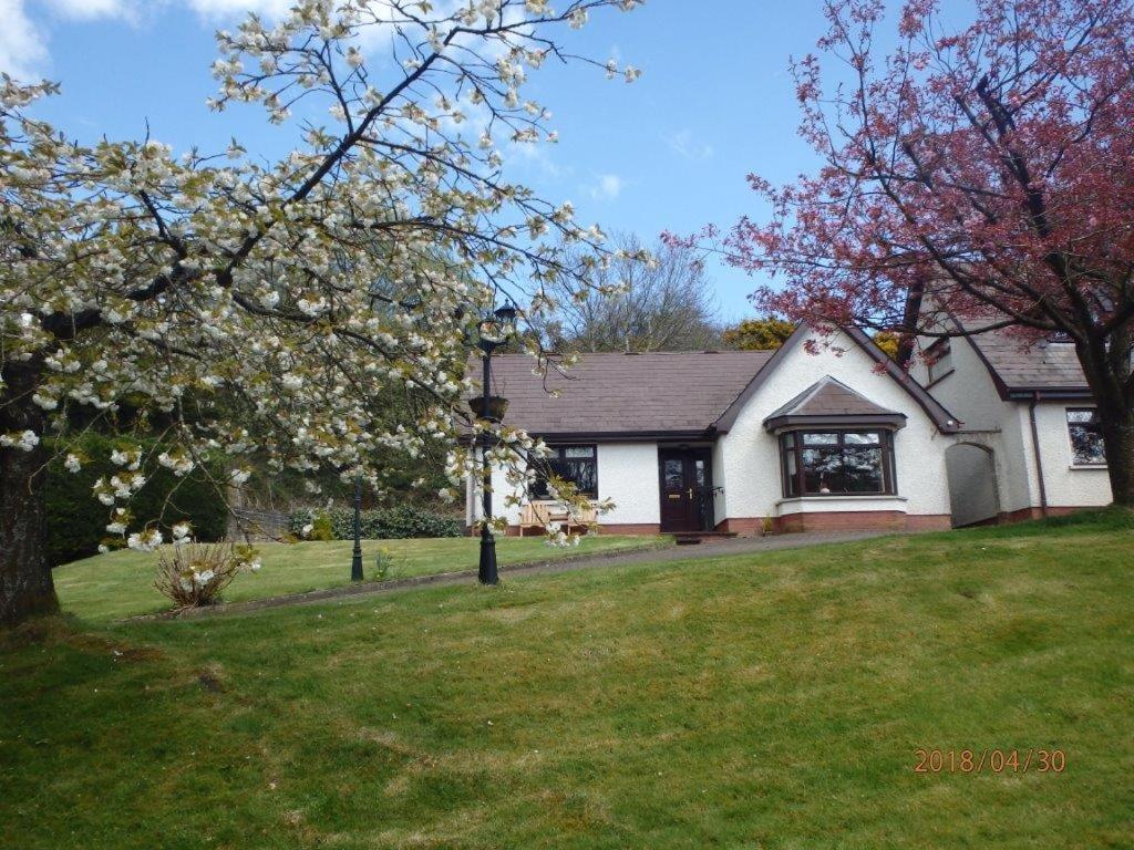 CoalislandTorrent Cottage的院子里有花树的白色房子