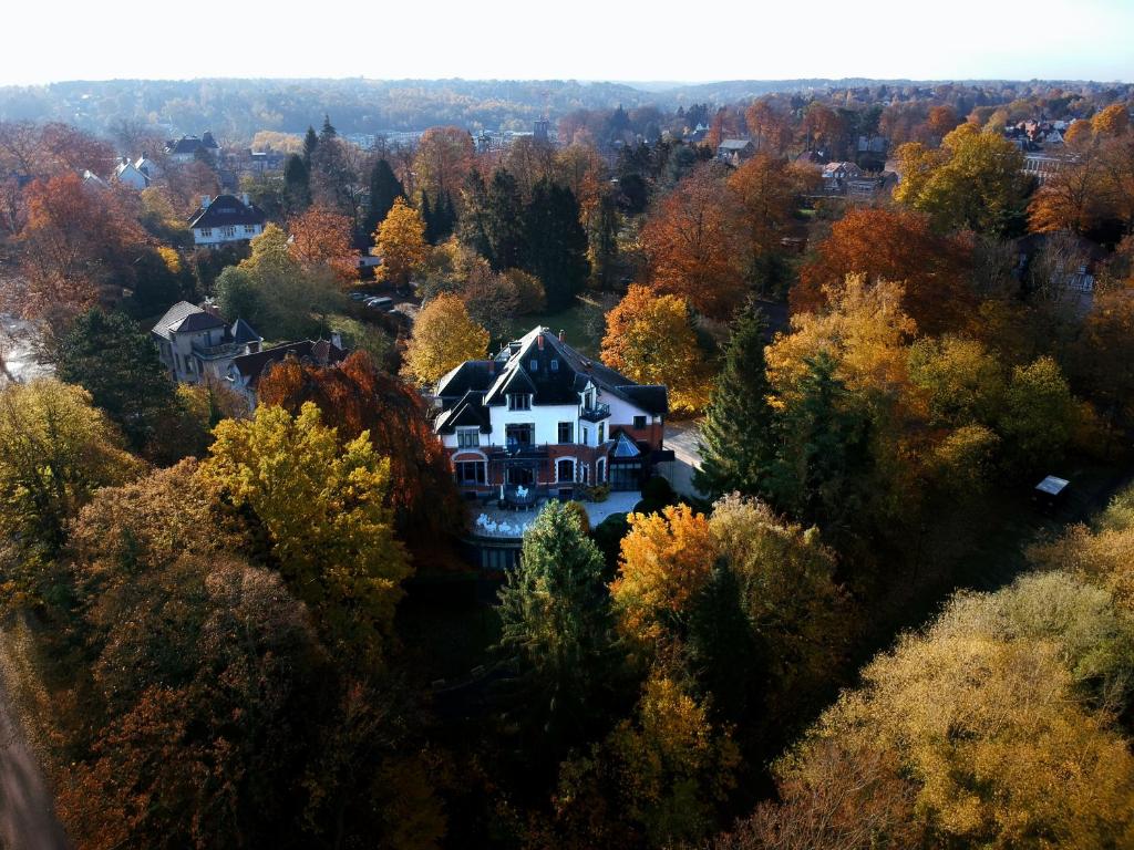 亨法尔马丁曼诺尔酒店的树林中房屋的空中景观