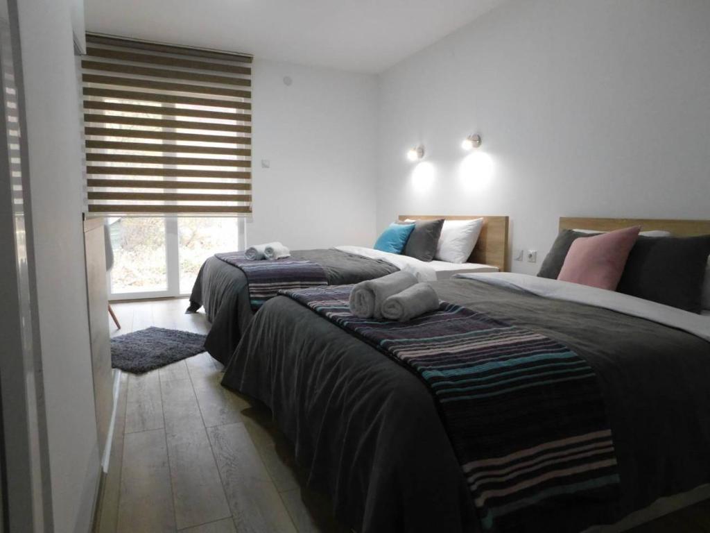 Crni VrhVila Vrh的一间卧室设有两张床和窗户。