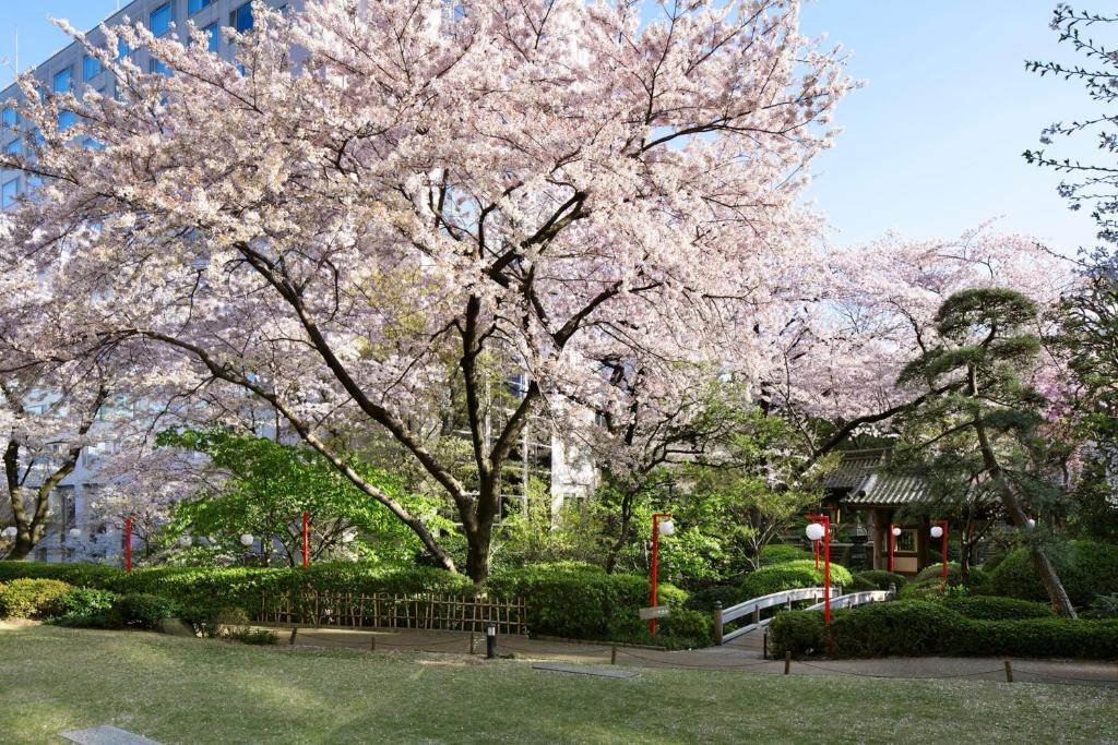 东京高轮花香路旅馆的相册照片