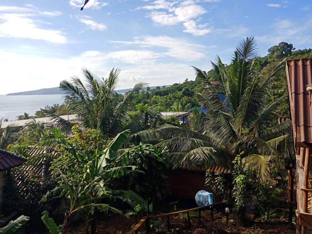 瓜隆岛快乐大象简易别墅酒店的棕榈树度假村的海景