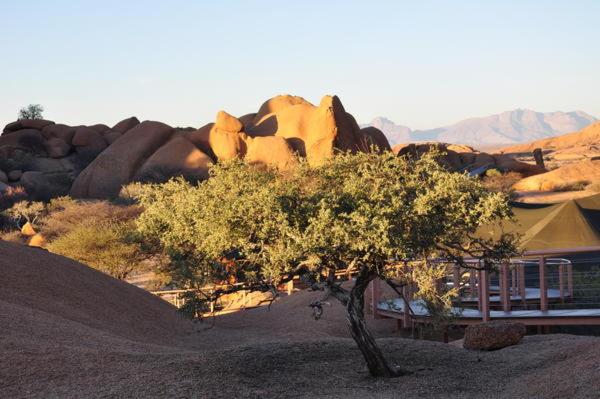 UsakosSpitzkoppen Lodge的沙漠中一座建筑物前面的树
