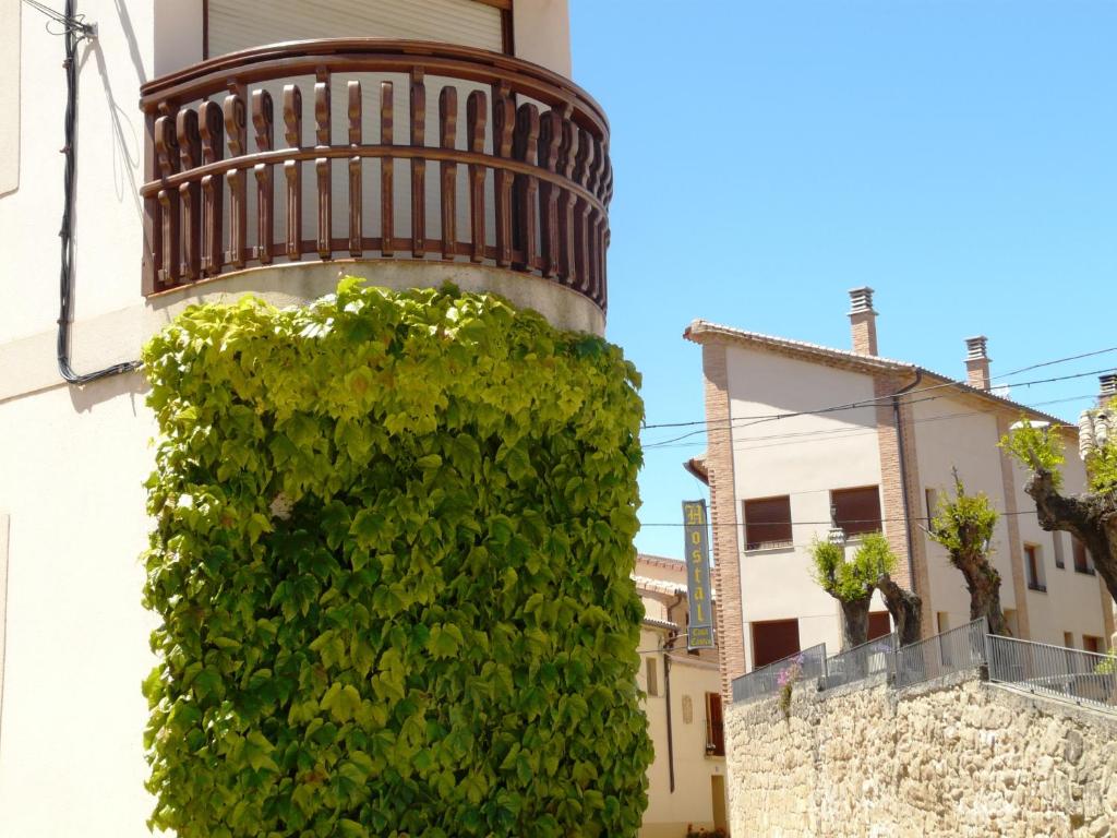 Alberuela de la Liena卡萨卡斯特罗旅馆的建筑物一侧的绿色灌木丛