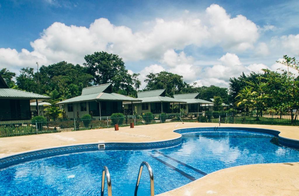 帕拉马里博Overbridge River Resort的一座位于树荫下的度假村的游泳池