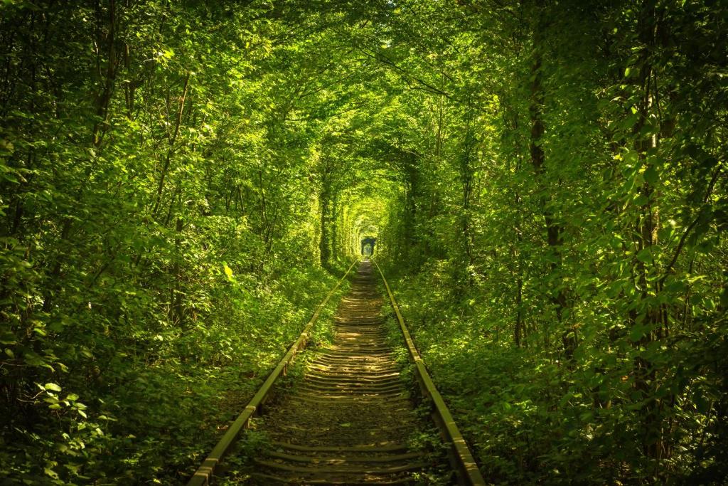 克列巴尼Hotel Tunnel of Love的一条穿越郁郁葱葱的绿色森林的火车路线