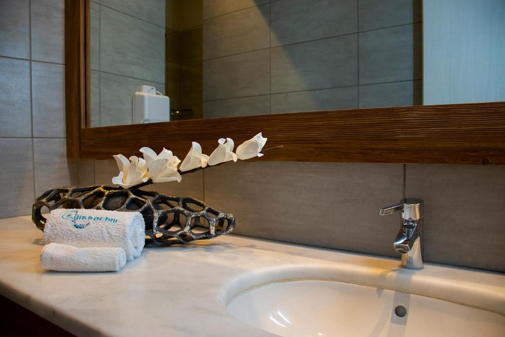 泽尔韦尼翁Alissachni Luxury Apartments的浴室的柜台设有水槽和镜子