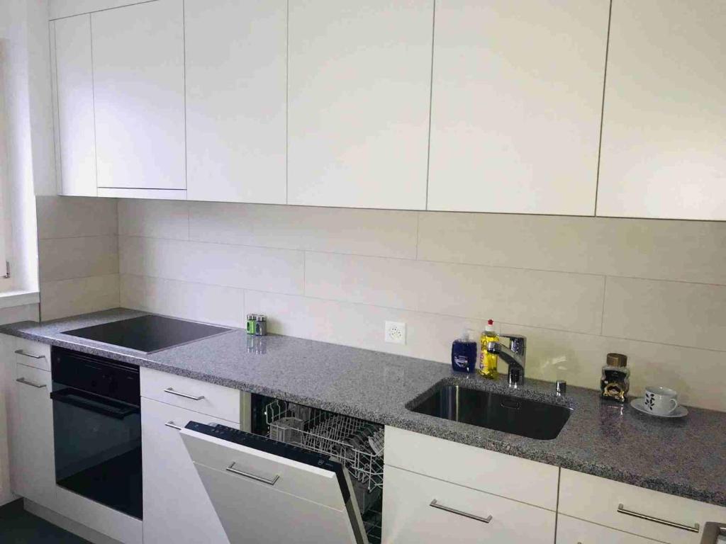 布克斯3 Room Premium Apartment Buchs SG的厨房配有白色橱柜和水槽