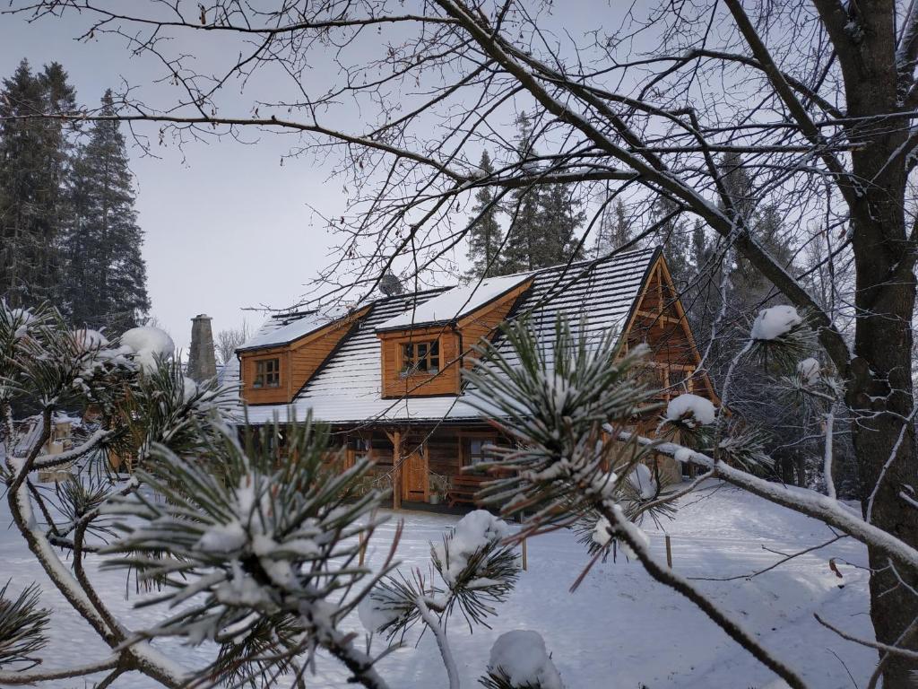 兹蒂尔Chata Baba Yaga的小木屋,屋顶上积雪